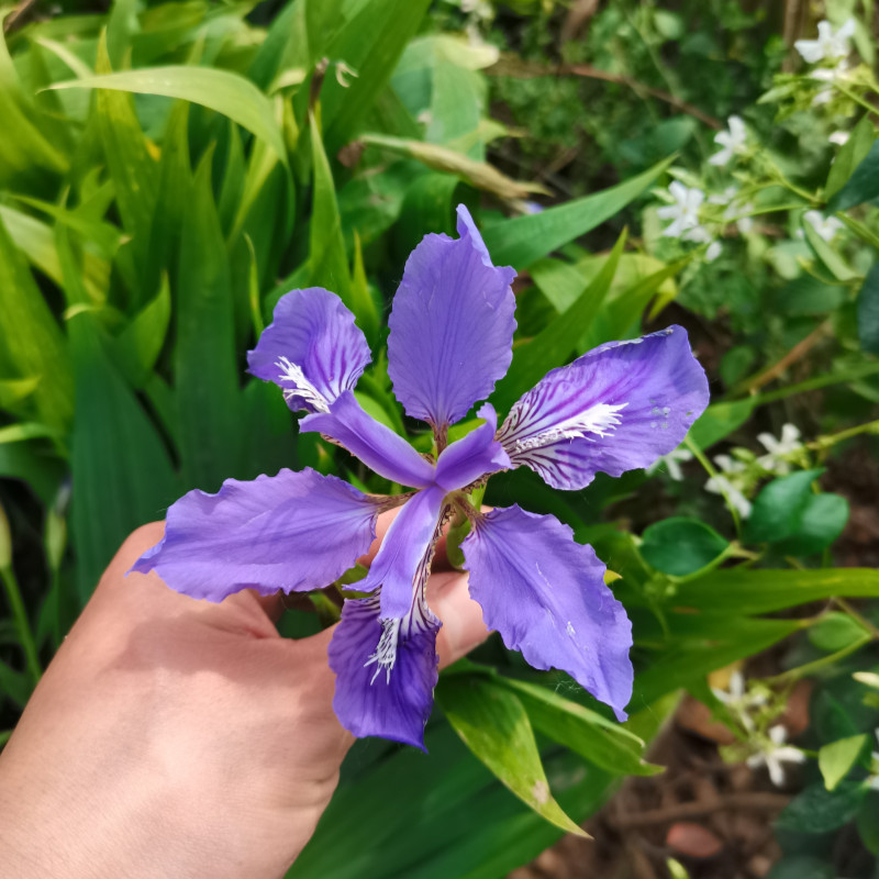 567241879058s441c84b9-4057-461