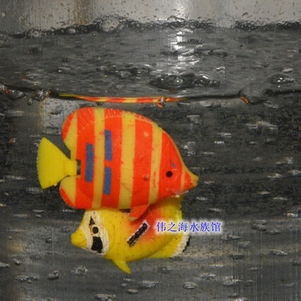realistic aquarium decor