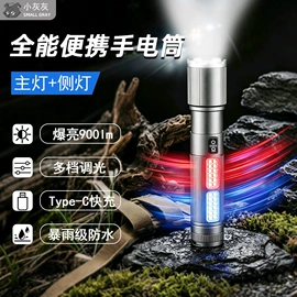 手电筒;头灯头戴电筒;提灯