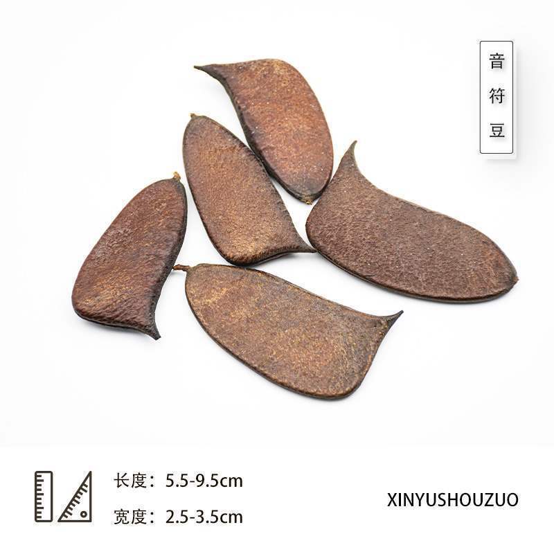 ドライフルーツ 松ぼっくりの種子標本 植物の実 手作りドライフラワー素材 猫の豊かな環境 幼稚園 自然|undefined