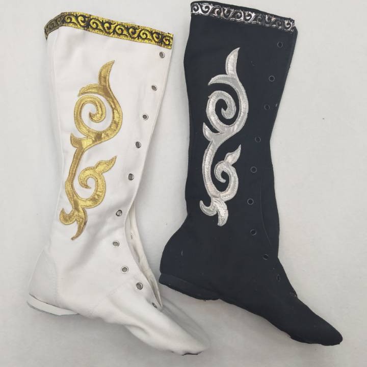 Zapatos largos botas de baile femenino lado mongol Flor botas de cuero zapatos de práctica de baile Xizango masculino zapatos de rendimiento de la etapa zapatos de práctica