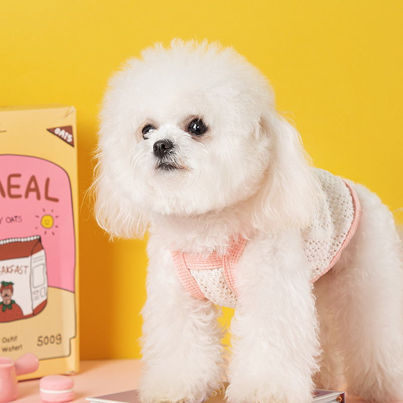 Verano lindo amor lazo perro de dos patas cabestrillo perro pequeño y mediano Teddy gato bichón perro mascota ropa