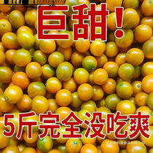 �V���ڰ���۴�Ƥ��ۑ������rˮ�����ӬFժ������]���Sһ�����l