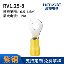 RV1.25-8�A���A�^�����^���~�Ӿ��䉺����O���~���Ӿ����S��