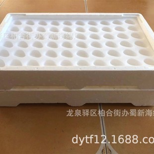 Strawberry Sponge Packaging / Turnover Strawberry Sponge Packaging / Bubble Wrap Strawberry Sponge Packaging / Buffer Strawberry Sponge