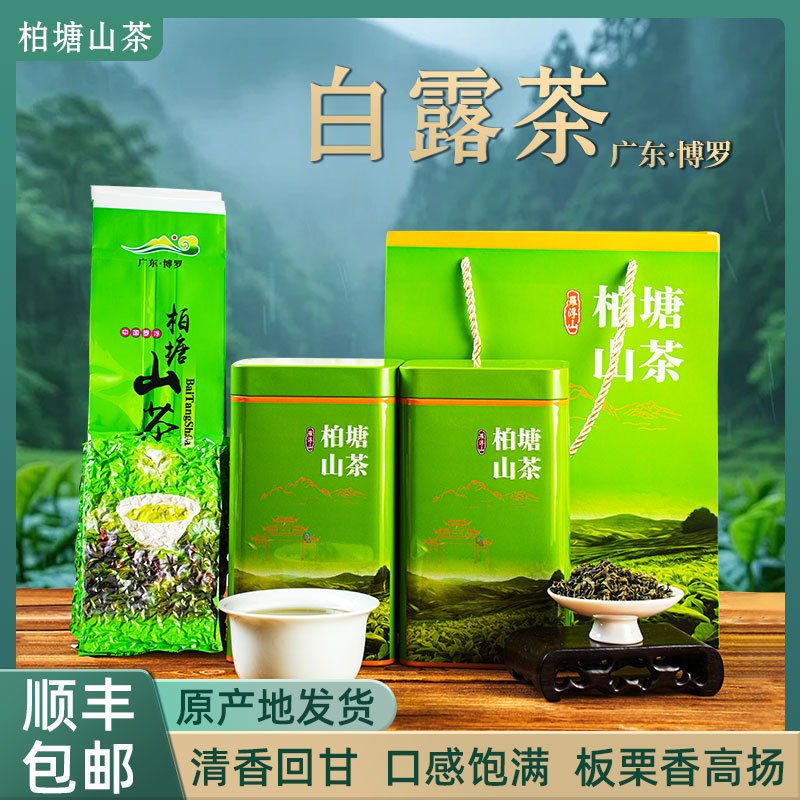 正宗柏塘山茶白露茶绿茶手工炒茶柴火客家炒青绿茶广东博罗特产