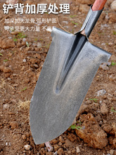 84GG批发铁锹锰钢加厚农用铁铲户外挖土开沟种树工具钢锹尖锹木柄