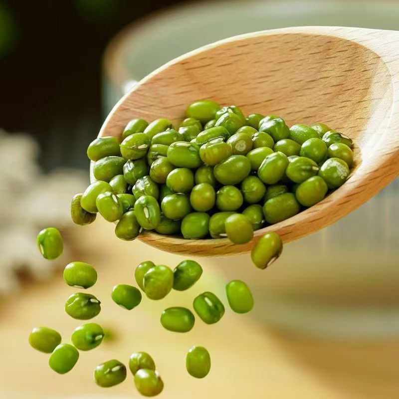 真空绿豆出沙可发芽新鲜皮薄绿豆汤绿豆糕五谷杂粮粗粮批发代发