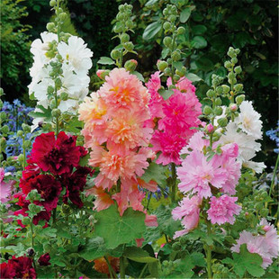 �ذ�������N�������ļ����ѷN�ѻ��N�ݝM���ǷNֲ�����˲��N