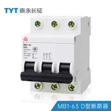 MB1-63D63TYT̩50A40A32A25A16·4P