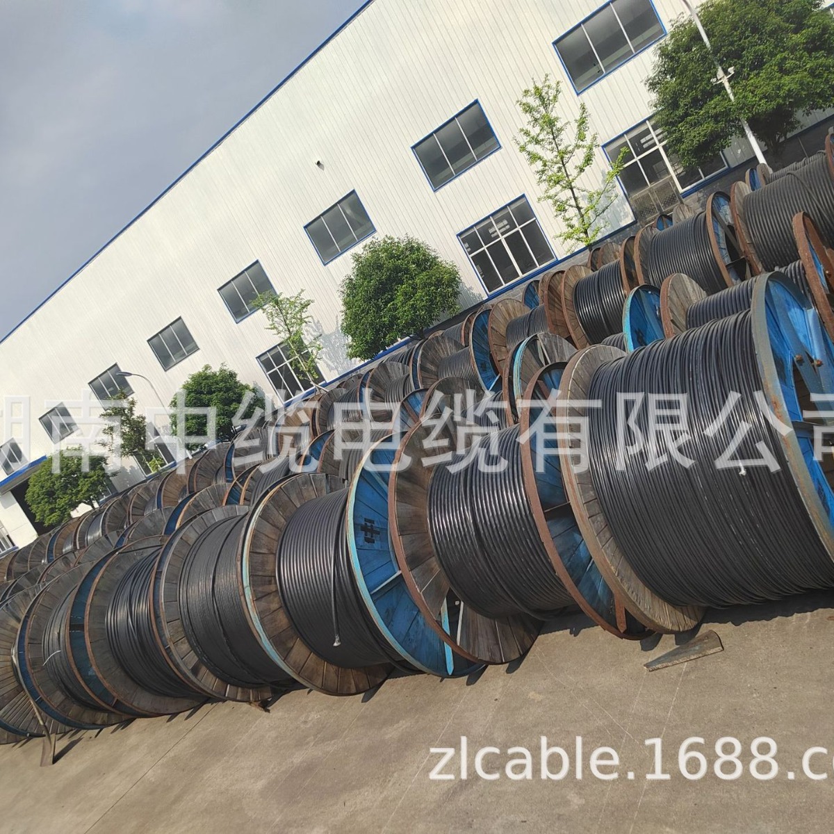 中缆 YJV 4+1系列 规格齐全 电力电缆现货厂家直销