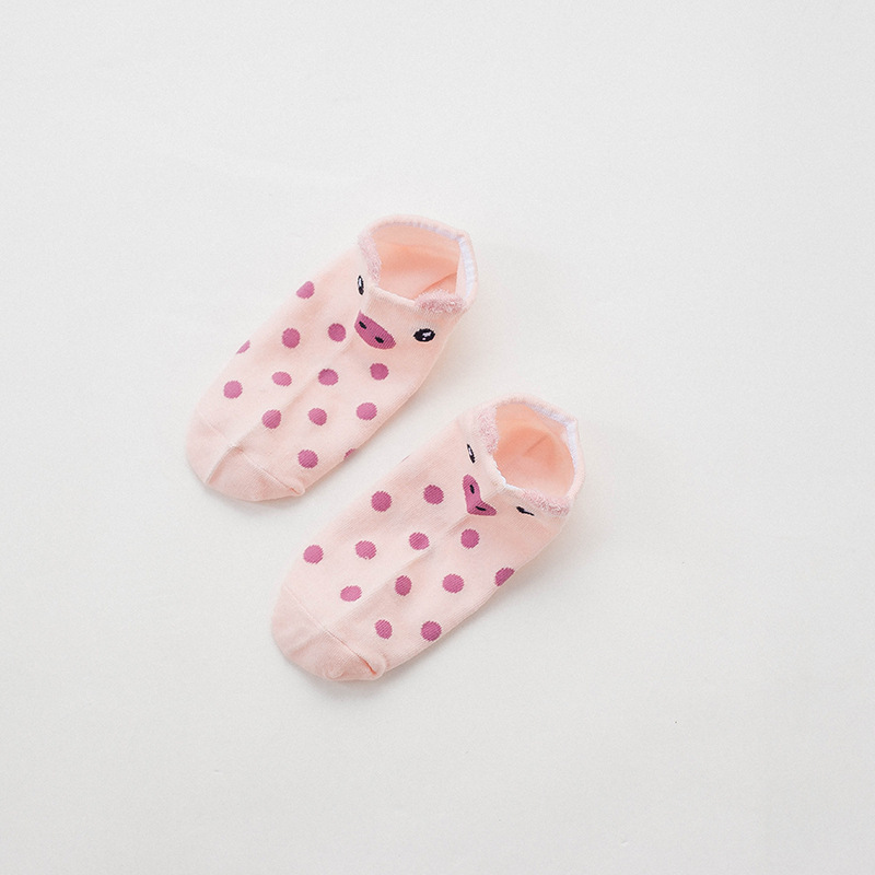 8455954152_368307467