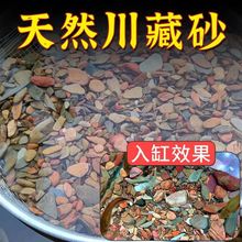 供应溪流砂鱼缸造景装饰底砂原生溪流石川藏砂天然河沙大肌砂细砾