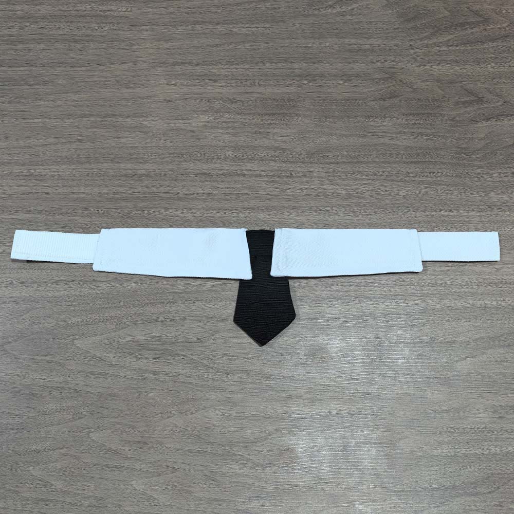 Tanpopo fábrica de nuevos productos guapo mascota corbata de perro velcro ajustable accesorios de mascota corbata de gato