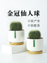 ��������������Ƹ߶������k���҃��̨���˺��B���ܾGֲ����ֲ��