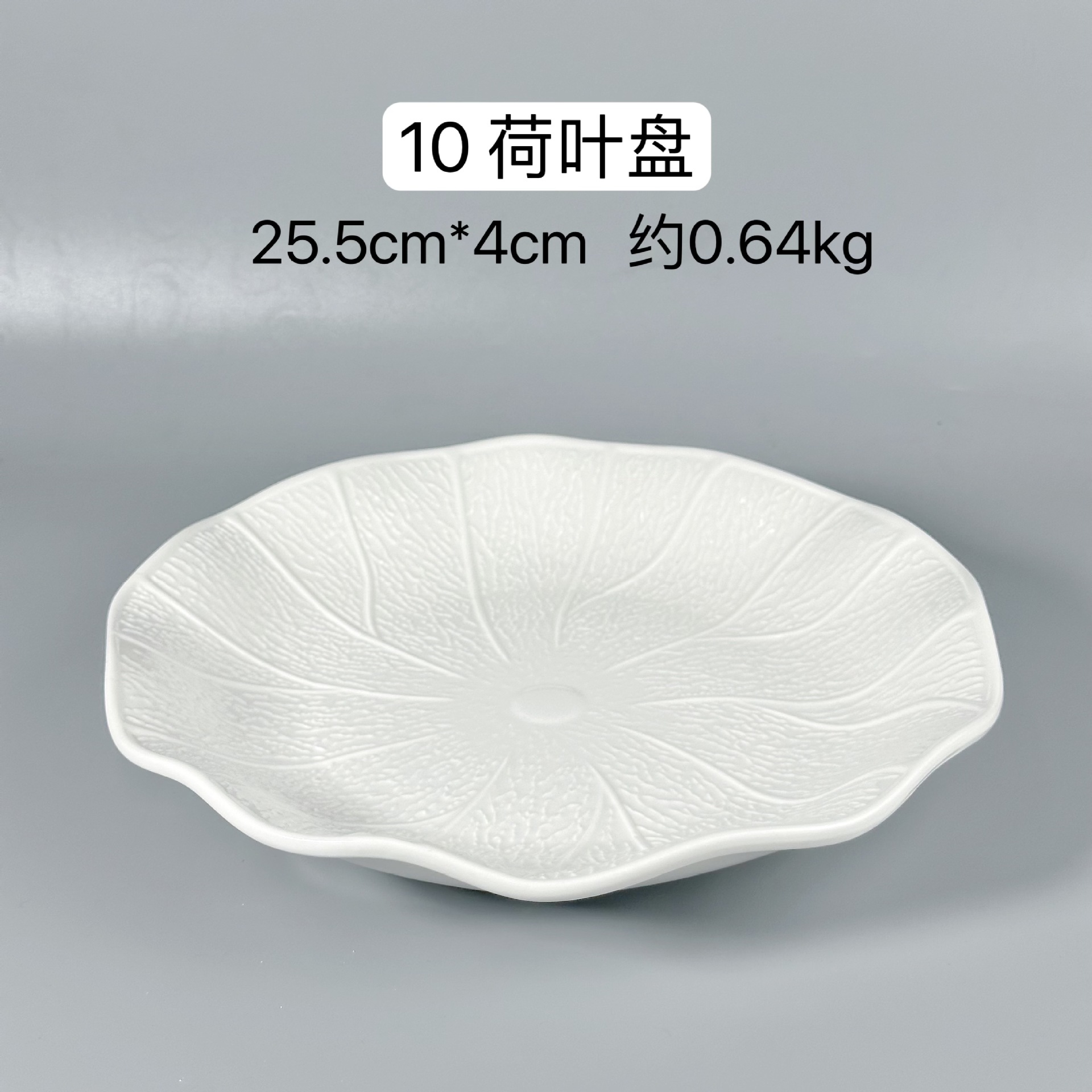 10inch