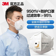 3M9502V+ filter-type dust-proof headband type anti-PM2.5 anti-haze 9501V anti-dust