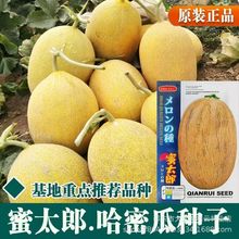 ��̫�ɹ��ܹϷN�Ӵ���SƤ���ܹϷN��������½����۹ϷN�Ӵ��ļ�