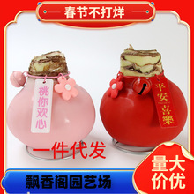 一件代发荷兰封蜡进口朱顶红蜡球花卉植物重瓣秘鲁种球圣诞节日礼