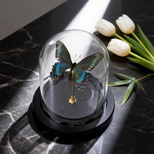 �G���P�������޿�˱�������W���[��ˇ�gƷ��Ҋ�b�չʾ��Y��