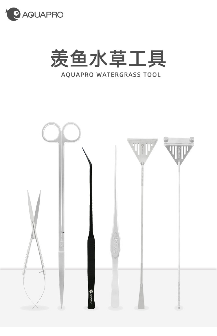 Details source file_01.jpg