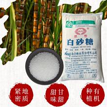 �V�����ڼ������ɰ���w�����lһ����������ɢ�b���b���ú決