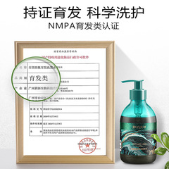 [Anti-counterfeiting new model] Bodi Shampoo Miao Jian Qin Leaf Ginger Anti-hair loss prevention hair loss