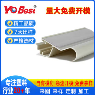Plastic Custom Molding of Various Plastic Profiles/Plastic Profiles/Co-Extruded Profiles/Mold Matching Production