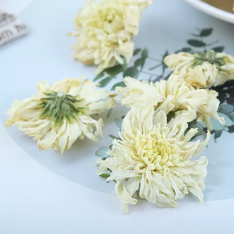 Huangshan Gong Ju Chrysanthemum Tea Dried July Chrysanthemum Flowers Loose Herbal Tea 500g Bulk specifications