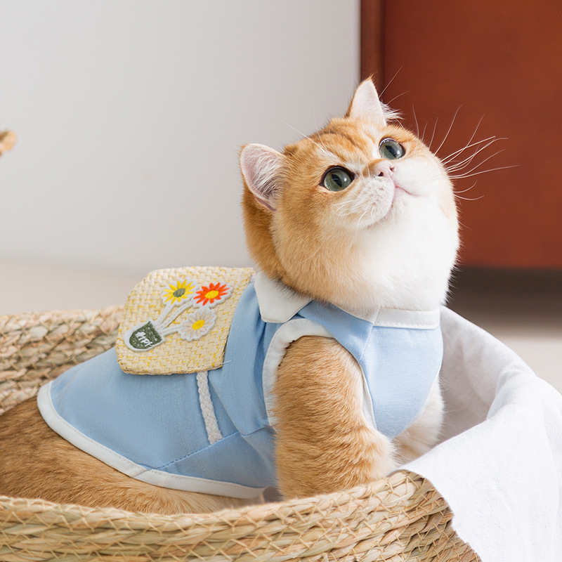 Gato primavera y verano chaleco de flores de sol gatito collar pétalos de flores ropa de dos patas para mascotas de verano transpirable