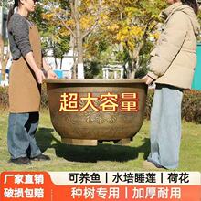 塑料花盆加厚耐用户外庭院果树铁树专用盆大号特大睡莲荷花养鱼缸