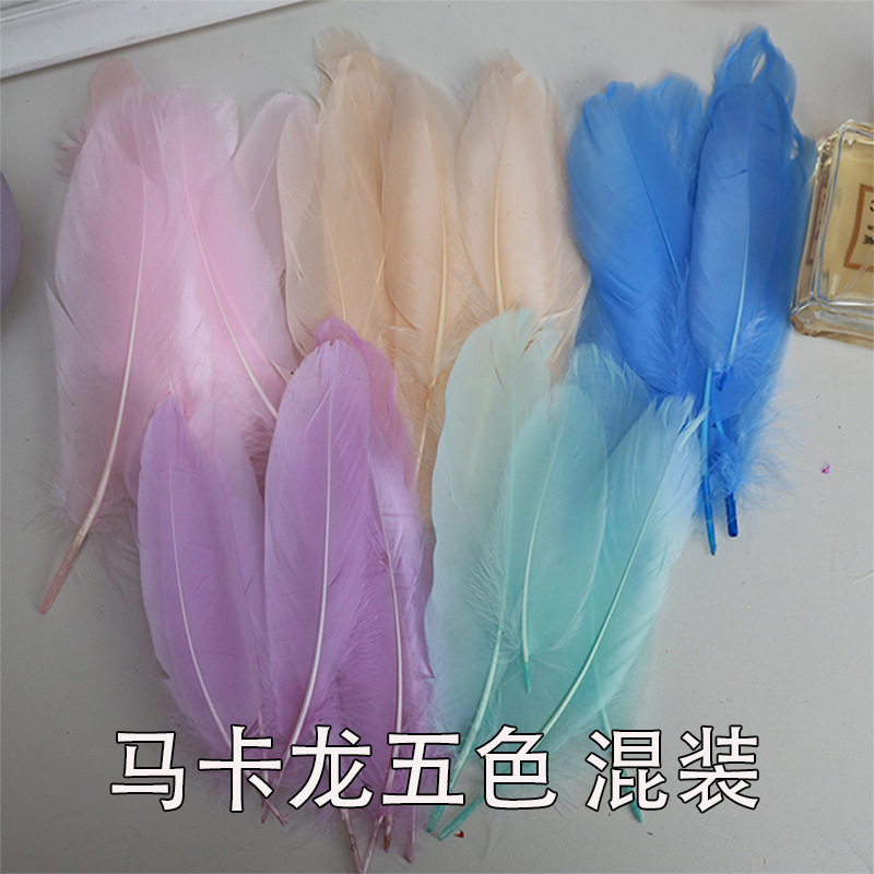 马卡龙五色 混装.jpg