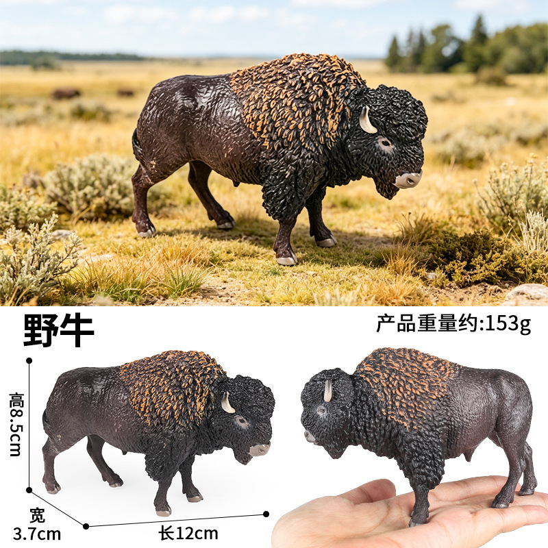 4175 bisonte