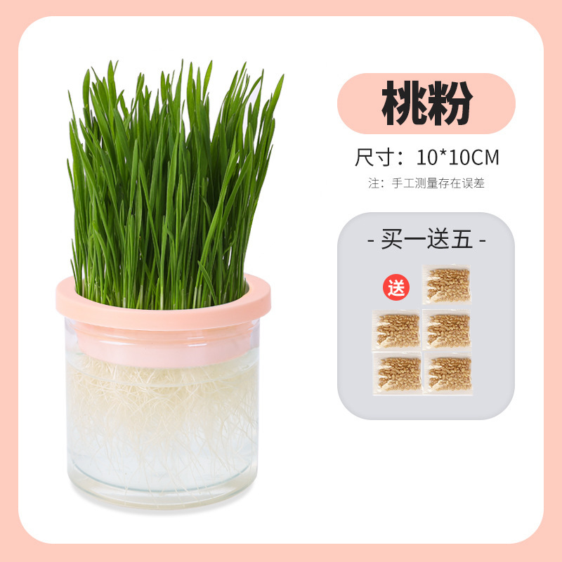 Nuevos bocadillos transfronterizos para gatos, semillas en macetas de pasto para gatos, caja de hierba para gatos hidropónica, juego de bolas de pelo, plato de vivero de pasto para gatos sin tierra
