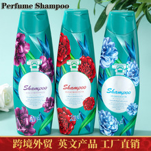 跨境香氛洗发水玫瑰香薰洗发露留香外贸柔顺清爽Perfume Shampoo