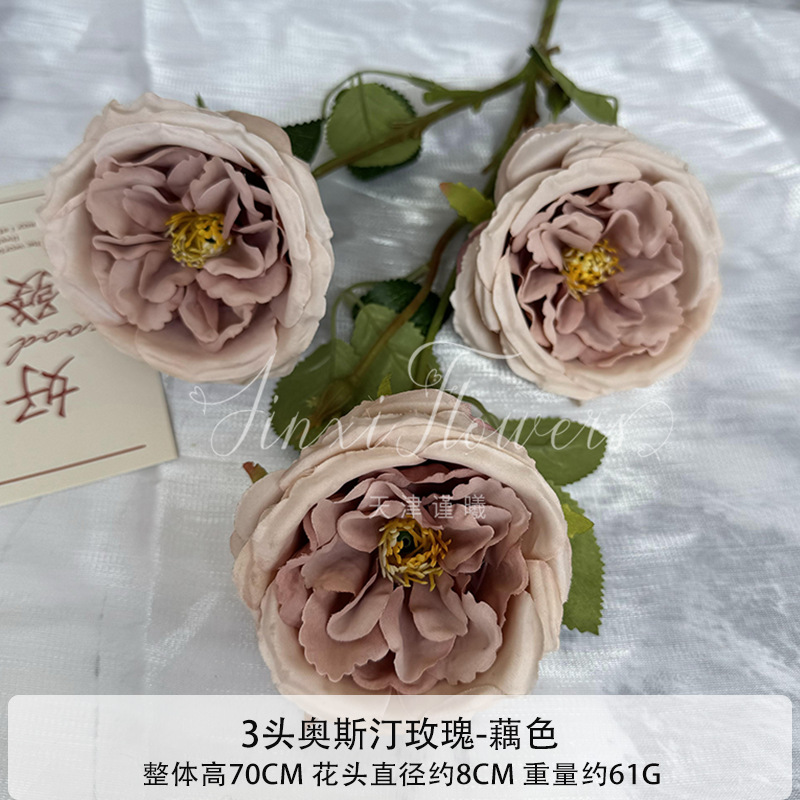 분홍빛