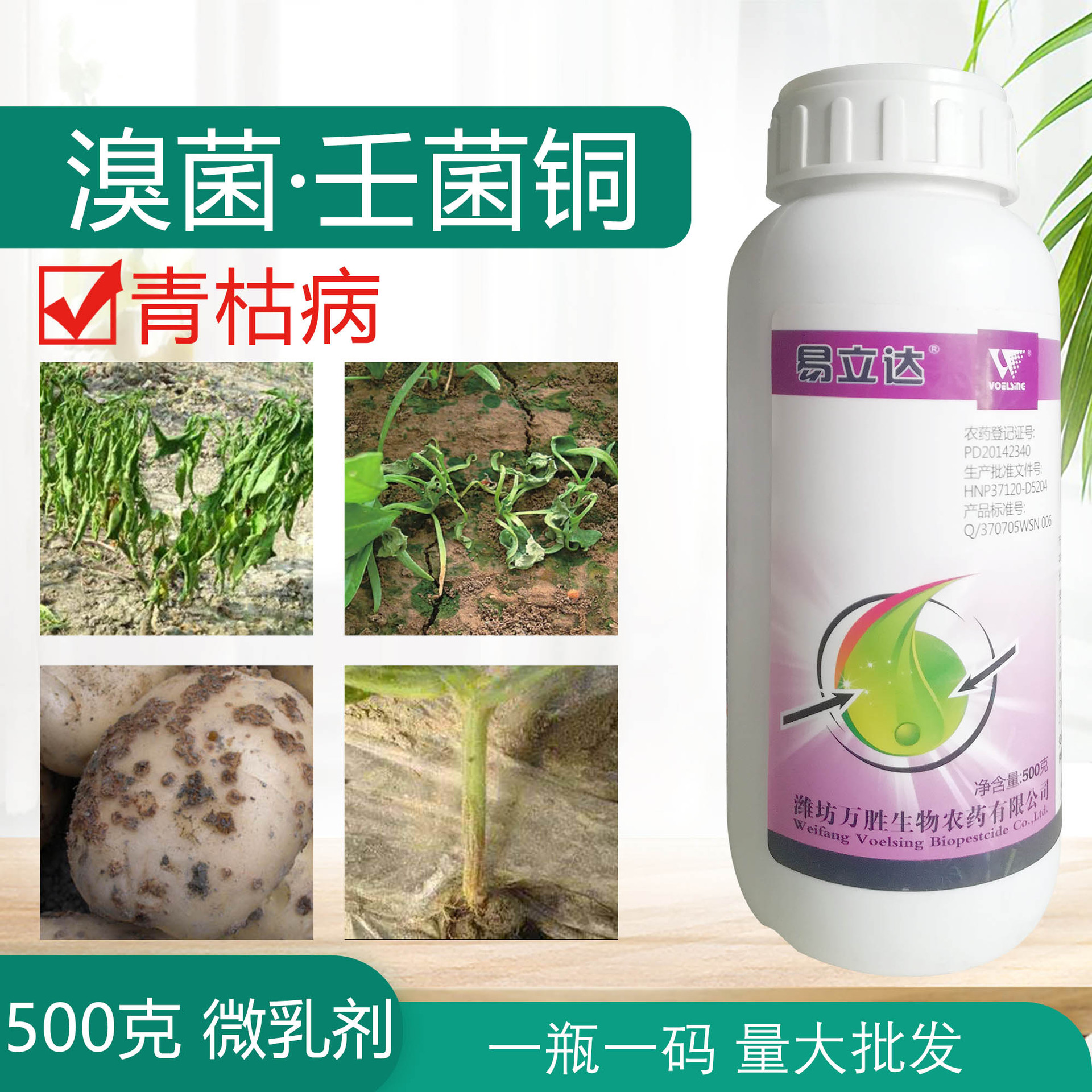 Bacteria bacterial wilt strawberry Pepper Leaf spot Pesticide