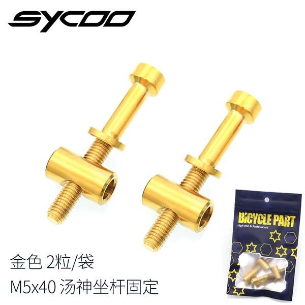 M5x40 gold