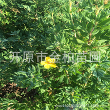 ��¶÷�������l����÷���Ա���ͥԺ�G�h������¶÷��յر���ľ