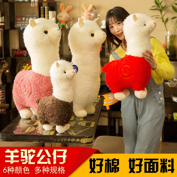alpaca