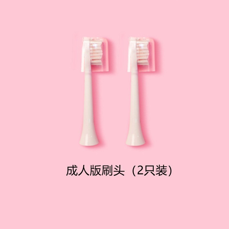 KT 성인용 칫솔모 [2팩]