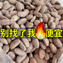 ��������؛�خa���bɢ�b���޴��w�����l�ǹ��V����ʳ��������1g