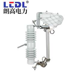 朗高电力 厂家直销 RW10-11F-100A户外10KV 12KV 跌落式熔断器