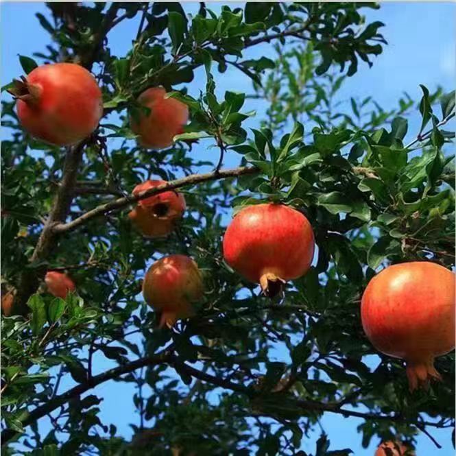 微信图片_20220804230620