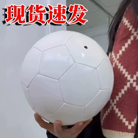 足球;篮球;排球