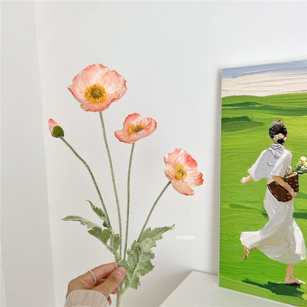 산호 색 a “길이 약 55cm]