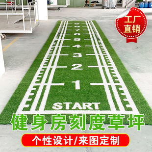 Gym Custom Scale Lawn Functional Pattern Artificial Lawn Private Teaching Studio Black Turf Carpet