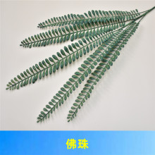 Gֲ Gɫϵc滨 ɭϵ Nɫ Hɫ2004Nɫ