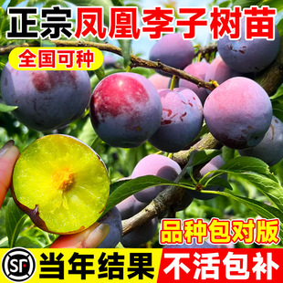 �����P�����Ә������������Ե��Է�����Ʒ�N�ش�̖�ϱ����Nֲ