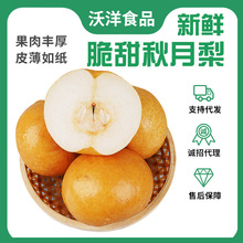 ɽ|rRFֱُFժFlɽ|خa